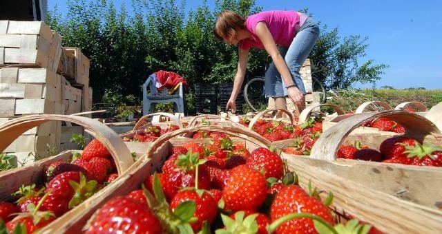 Rosną wynagrodzenia pracowników tymczasowych