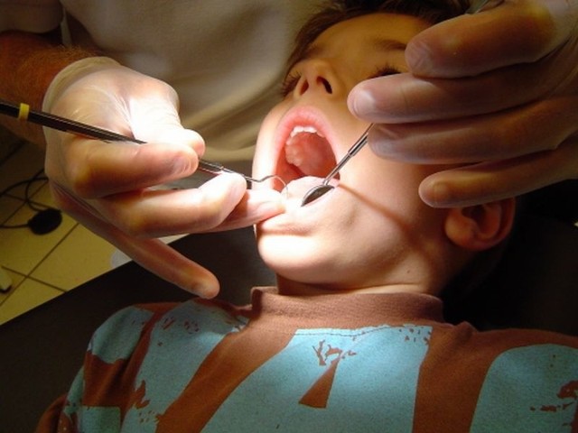 Obecnie w północnej części Podkarpacia nie ma całodobowego pogotowia stomatologicznego.