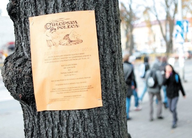 Jeden z plakatów na drzewie w centrum miasta.