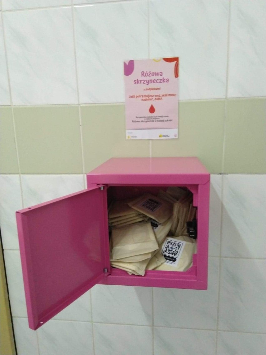 Pierwsza „różowa skrzyneczka” w Gdyni. Szkoła Podstawowa nr 31 dołączyła do inicjatywy
