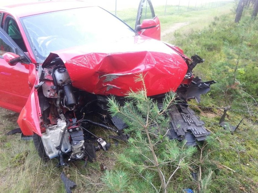 Auto przebiło siatkę ogradzającą autostradę i uderzyło w...