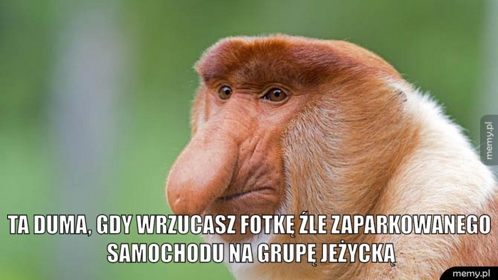 Każda dzielnica ma swoją specyfikę, ale to Jeżyce uchodzą za...