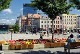 Miasta na Śląsku w ścisłej czołówce rankingu miast sukcesu! Każdy chciałby w nich żyć