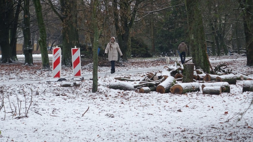 Koszaliński park w zimowej scenerii