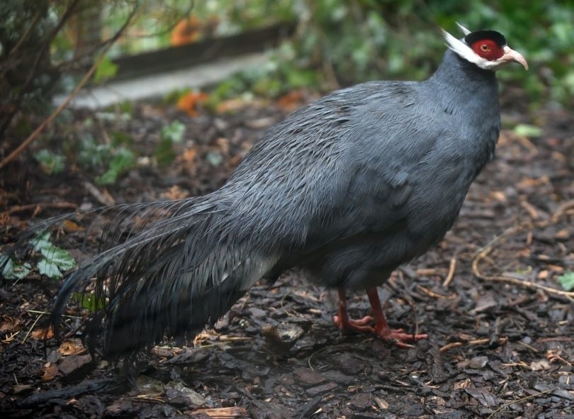 Łódzki Ogród Zoologiczny