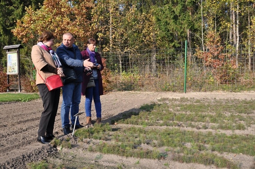 Leśnicy z Białorusi odwiedzili podlaskie lasy (zdjęcia) 