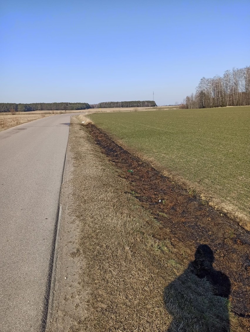 Wypalanie traw jest szkodliwe, ale wciąż praktykowane. PSP w Ostrołęce niemal codziennie otrzymuje wezwanie do gaszenia pożaru traw