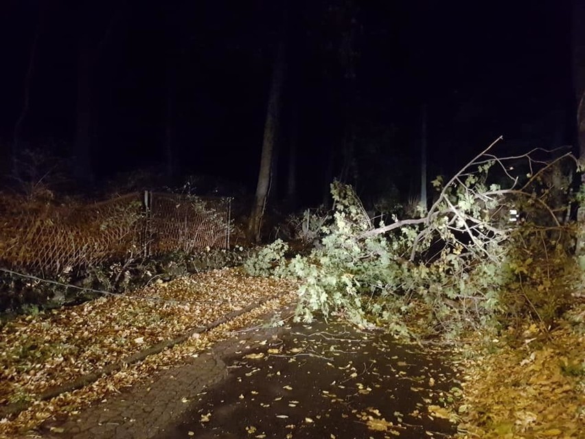 Drzewo przewróciło się na linię niskiego napięcia w Sobótce....