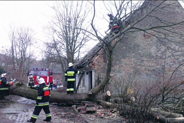 Powalone drzewa spadały na drogi i domy m.in. w Reszlu i Sadunach w powiecie kętrzyńskim.