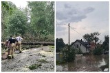 Nawałnica w Podlaskiem i woj. warmińsko-mazurskim. Strażacy usuwali skutki zniszczeń po burzy w regionie [ZDJĘCIA] 18.07.2021