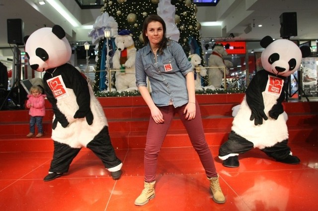 W Gangnam style tańczyły z wolontariuszami Szlachetnej Paczki pandy w Galerii Echo.