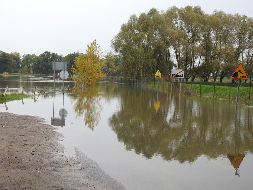 Odra w Milsku