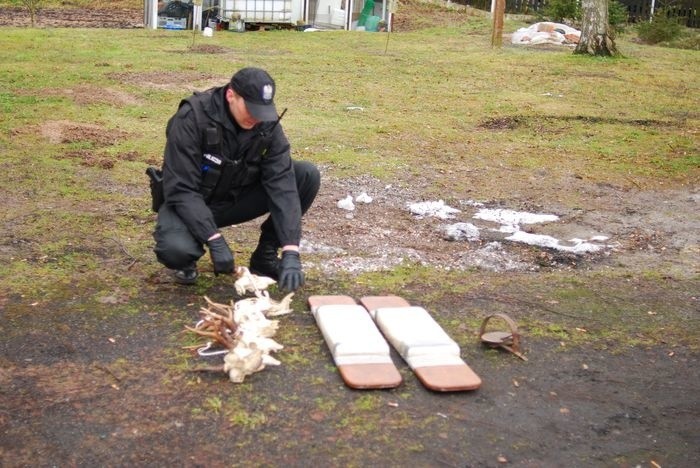 Trzej kłusownicy wpadli z nielegalna bronią i 300 kg...