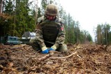 Leśnictwo Mostek. Znaleźli w lesie granat moździerzowy (zdjęcia)