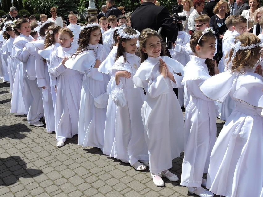 Komunia w farze w Ostrołęce. Zobaczcie ZDJĘCIA