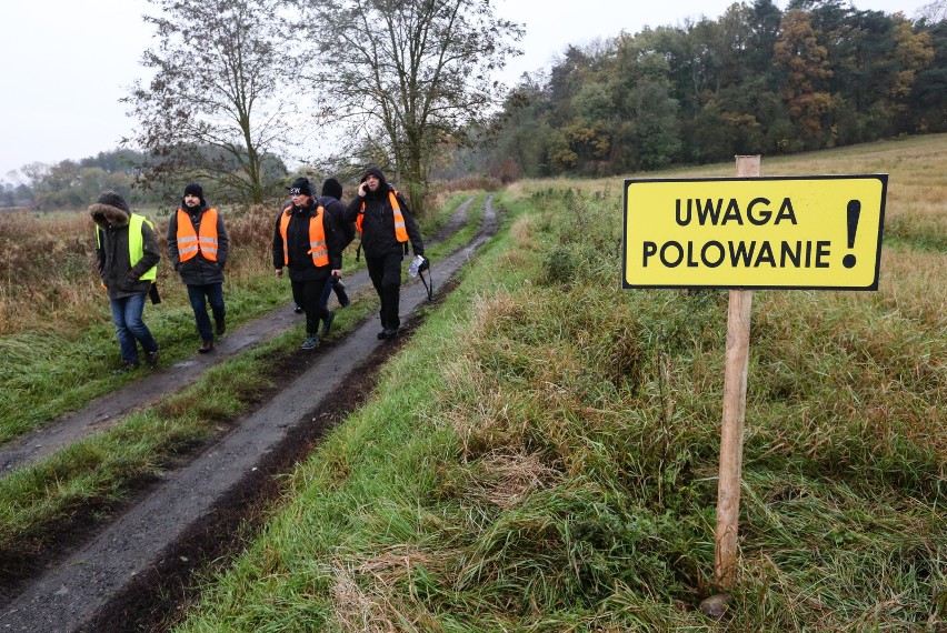 Jedno ze zbiorowych polowań w Polsce.