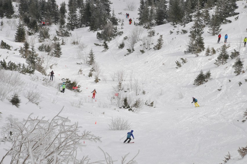 Memoriał Strzeleckiego w narciarstwie wysokogórskim już 10 marca