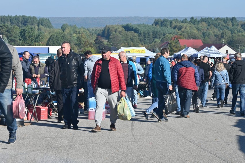 Tłumy na giełdzie w Miedzianej Górze. Pogoda przyciągnęła wielu klientów (ZDJĘCIA)