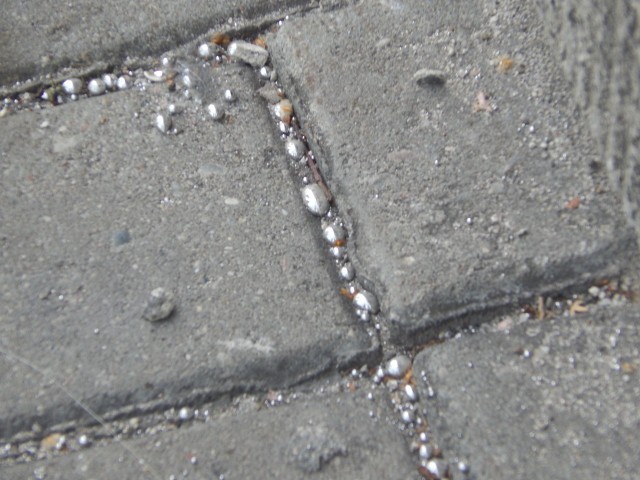 Rtęć którą znaleźliśmy na chodniku przy ul. Przemysłowej - tu też młodzi bawili się tą niebezpieczną substancją.