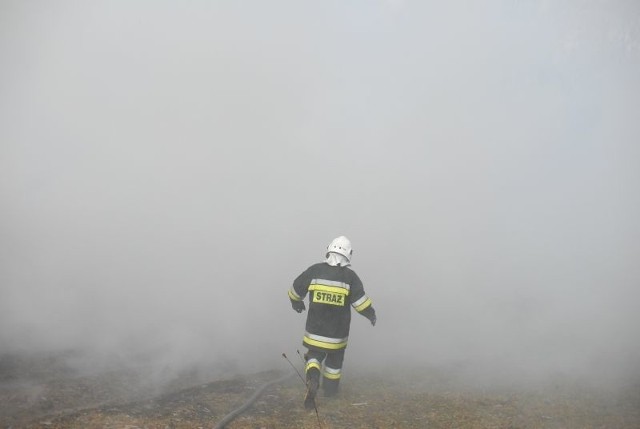 Pożar w Fastach gasiło sześć zastępów straży pożarnej