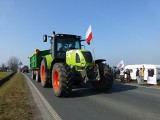 Protesty rolników w regionie. Będą kolejne, także w Bydgoszczy [wideo, zdjęcia]