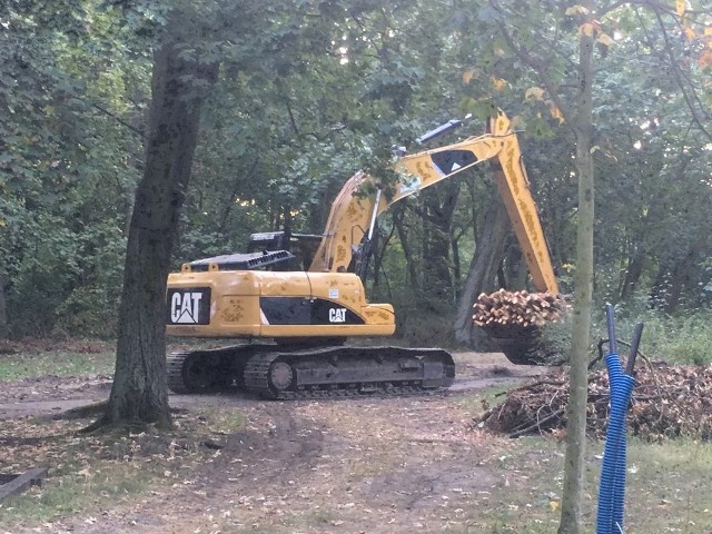 To co się dzieje w Parku Tysiąclecia woła o pomstę do nieba, alarmują Czytelnicy. Plac budowy nie jest odpowiednio zabezpieczony. Nawet drobne prace są tu wykonywane przy pomocy ciężkiego sprzętu. Między  drzewami jeżdżą koparki i samochody, niszcząc rośliny i pozostałą infrastrukturę. Robotnicy podcinają korzenie drzew, tuż obok ich pni układają krawężniki. Najwyraźniej nikt nad tym nie panuje.POLECAMYNajbogatsi komornicy w ToruniuPraca w regionie. Oferty powyżej 5 tysięcy złotychWyprzedaże mienia wojskowego. Co i za ile można kupić?Toruńskie Wodociągi biją na ALARM: grozi nam zator!Na zdjęciu koparka wykorzystywana do transportu palików 