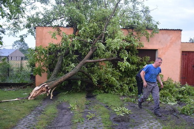 Sporo zniszczeń spowodowały też połamane drzewa i konary