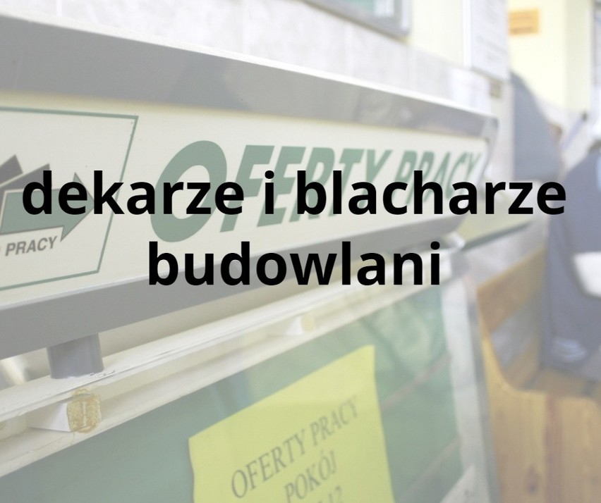 Najbardziej poszukiwane zawody w pow. puławskim. Sprawdź, czy Twoja profesja znalazła się na liście (prognoza na rok 2019)