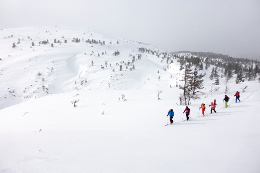 Skitouring to połączenie narciarstwa z turystyką górską....