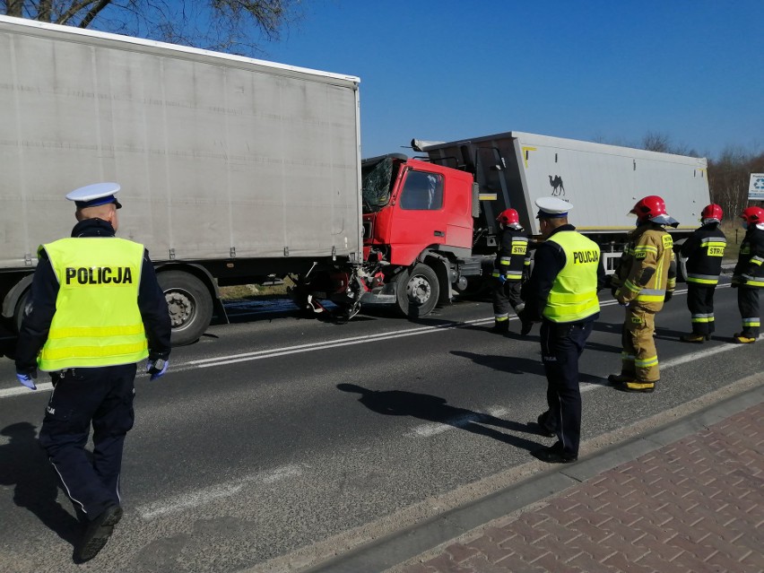 Zderzenie dwóch ciężarówek w Tarnobrzegu. Droga krajowa numer 9 była zablokowana [ZDJĘCIA]