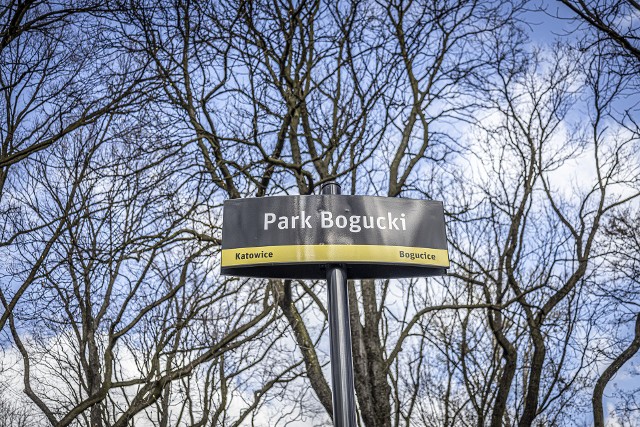 Nasza fotoreporterka wybrała się na spacer alejkami parku Bogucickiego. Zobacz jak prezentuje się ta przestrzeń >>