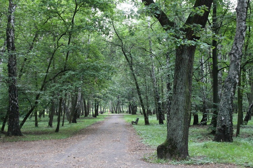 Tak dziś wygląda park Zielona w Dąbrowie Górniczej