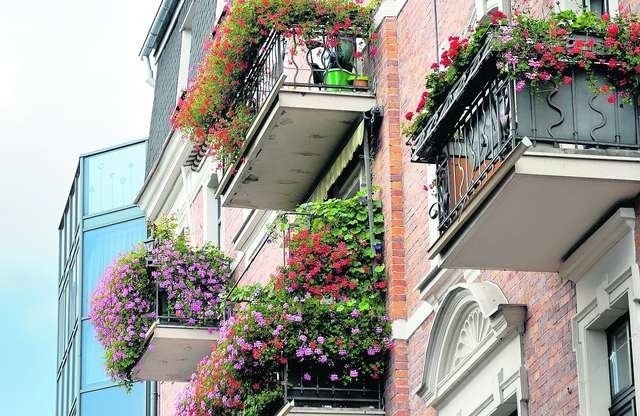 Ogród na balkonie to opcja atrakcyjna dla mieszkających w bloku, ale nie tylko 