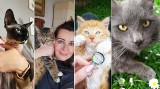 Mój przyjaciel kot. Mieszkańcy Jasła i okolicy pochwalili się kotami, są rozkoszne! [GALERIA]