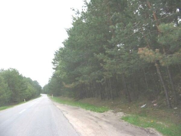 Lasy mieszkańców Małogoszcza rozciągają się niemal dookoła...