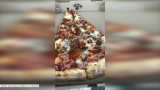 Zamówiła pizzę na wynos. Nie wiedziała, że znajdzie na niej… larwy [WIDEO]                                                  