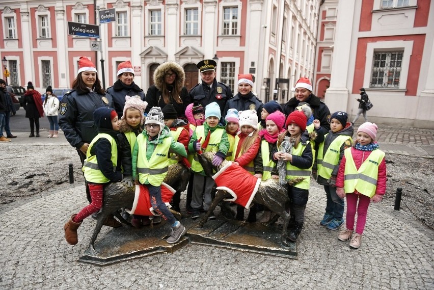 Ubieranie koziołków na placu Kolegiackim stało się już...