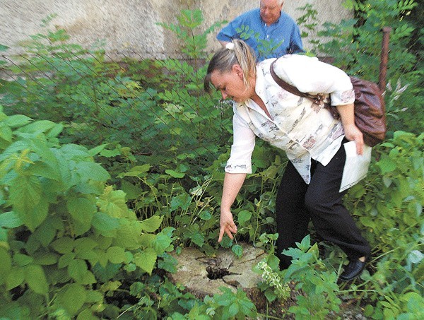 Małgorzata Kupis pokazuje miejsce, w którym stała lipa, przekleństwo jej rodziny. 