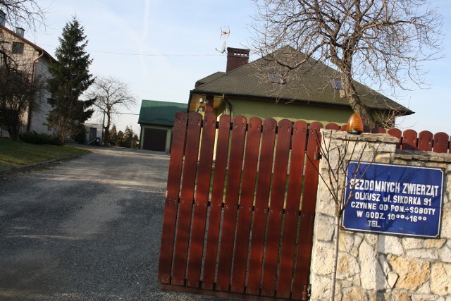 Tablica na ogrodzeniu od wielu lat jest ciągle ta sama. Po zarzutach, że mimo zakazu właściciel ciągle prowadzi schronisko, zamalowano napis "schronisko". Poza tym nic więcej się nie zmieniło