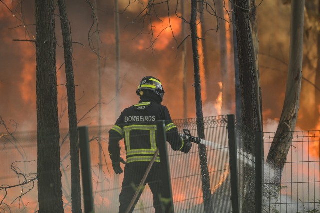 22 pojazdy z 96 strażakami i 3 samoloty walczą z pożarem lasu