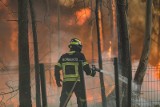 Portugalia: Fala tropikalnych upałów przyniosła duże pożary lasów. Strażacy walczą z żywiołem [ZDJĘCIA]