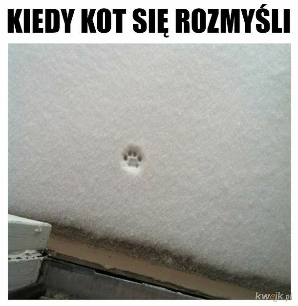Oto najśmieszniejsze memy o zimie! Mróz, burze śnieżne i...