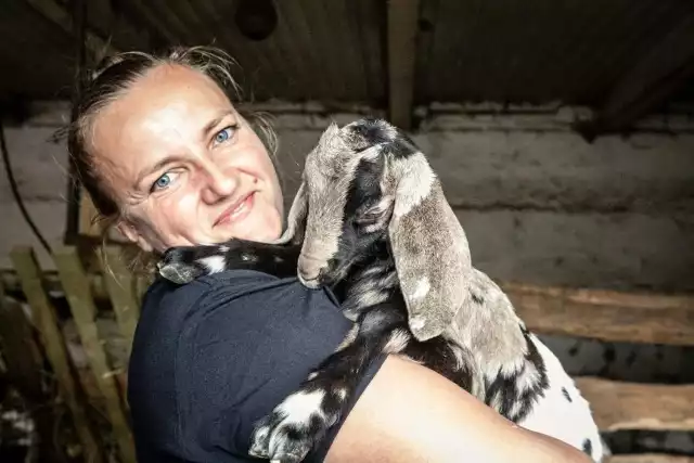 stado kóz Emilii Korolczuk ciągle się powiększa. to z mleka tych zwierząt rolniczka produkuje słynne już sery