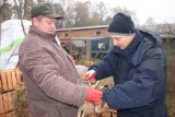 120 zajęcy trafiło do wolier. Za kilka miesięcy wybiegną na wolność