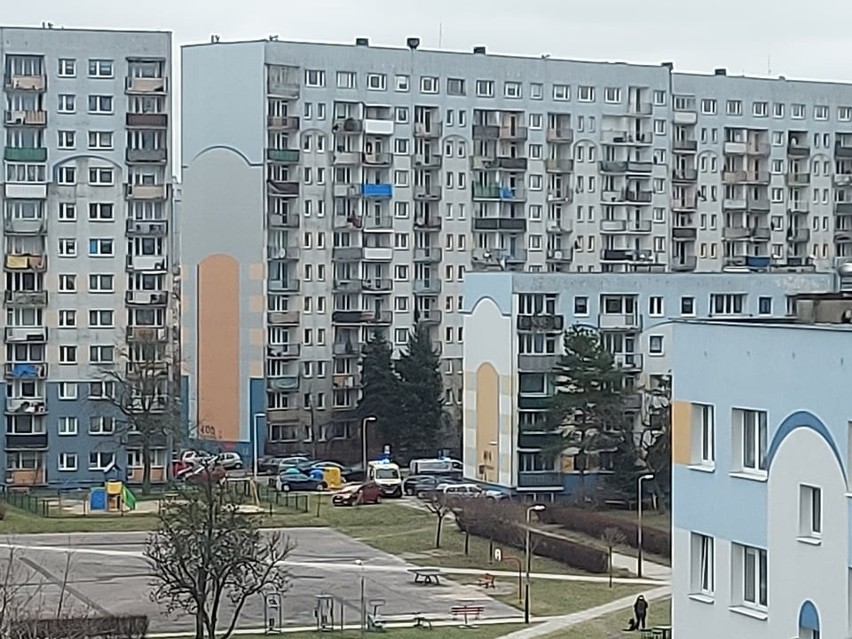 Kobieta zasłabła podczas spaceru z psem, yorkiem. Akcja reanimacyjna na Widzewie