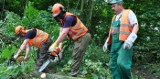 Grudziądz. Ruszyły pierwsze prace przy drugim etapie "średnicówki"