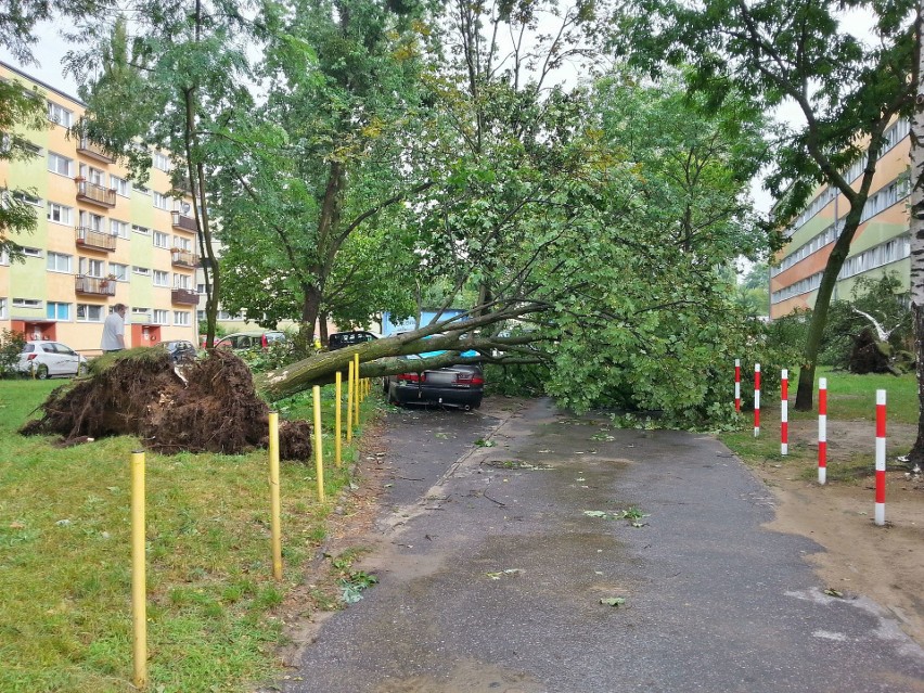 Burza w Łodzi. Nawałnica nad Łodzią. Powalone drzewa, gałęzie na drogach, zalane ulice [ZDJĘCIA]