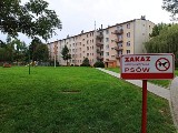 Awantura na osiedlu w Wieliczce. Spółdzielnia Mieszkaniowa zakazała wprowadzania psów na trawniki