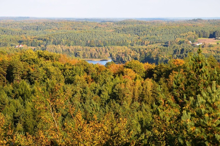 Nie trzeba jechać w Bieszczady, by nacieszyć oczy pięknymi...