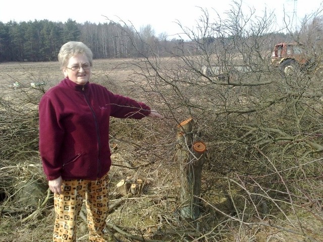 &#8211; Takie spustoszenie przed naszym domem zrobili sąsiedzi. Wycięli wszystkie drzewa i zagrodzili nam drogę do posesji &#8211; mówi Anna Adamelak.